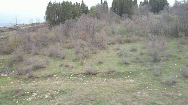 Грийн Форт, двухкомнатная квартира смотреть онлайн