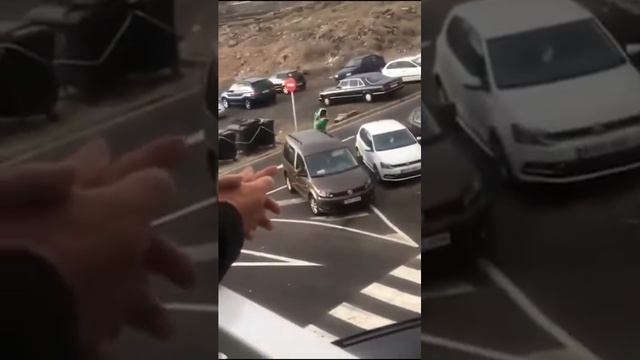 Испанские динозавры смотреть онлайн