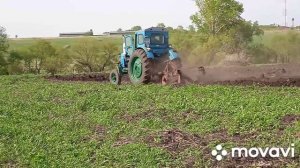 трактор Т-40 пашет🚜