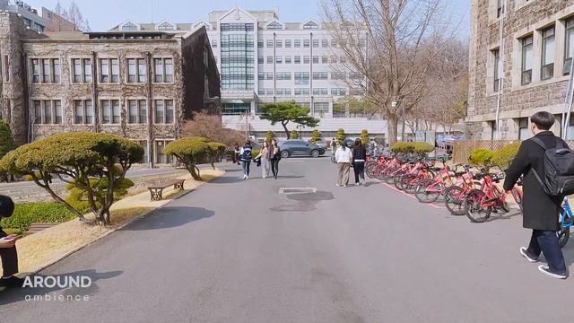 [4K] Walking Around Yonsei University As Spring Approaches, Ambience