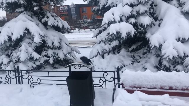 Понедельник. 4 декабря смотреть онлайн