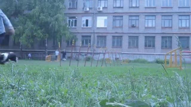 MVI 4602 смотреть онлайн