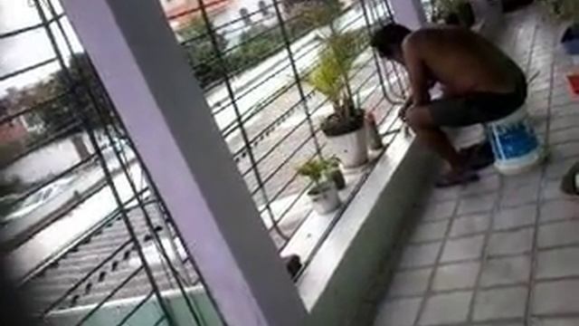 olha o mico ms смотреть онлайн