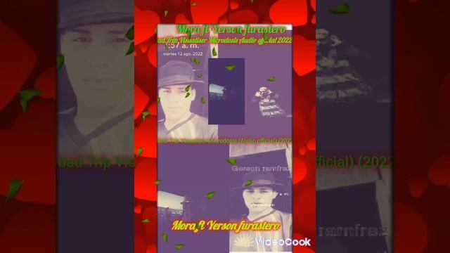 Mora ft Yerson furastero - bad Trip Visualiser Microdosis (Audio official) (160°) смотреть онлайн