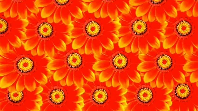 С днём женской дружбы! 💕 Красивое поздравление 🥰 смотреть онлайн