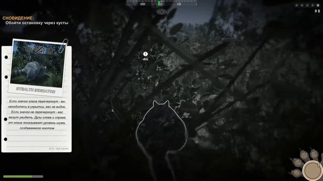 (18+) Wanted Raccoon Енот в деле смотреть онлайн