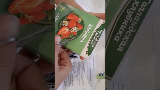 Клубника на подоконнике