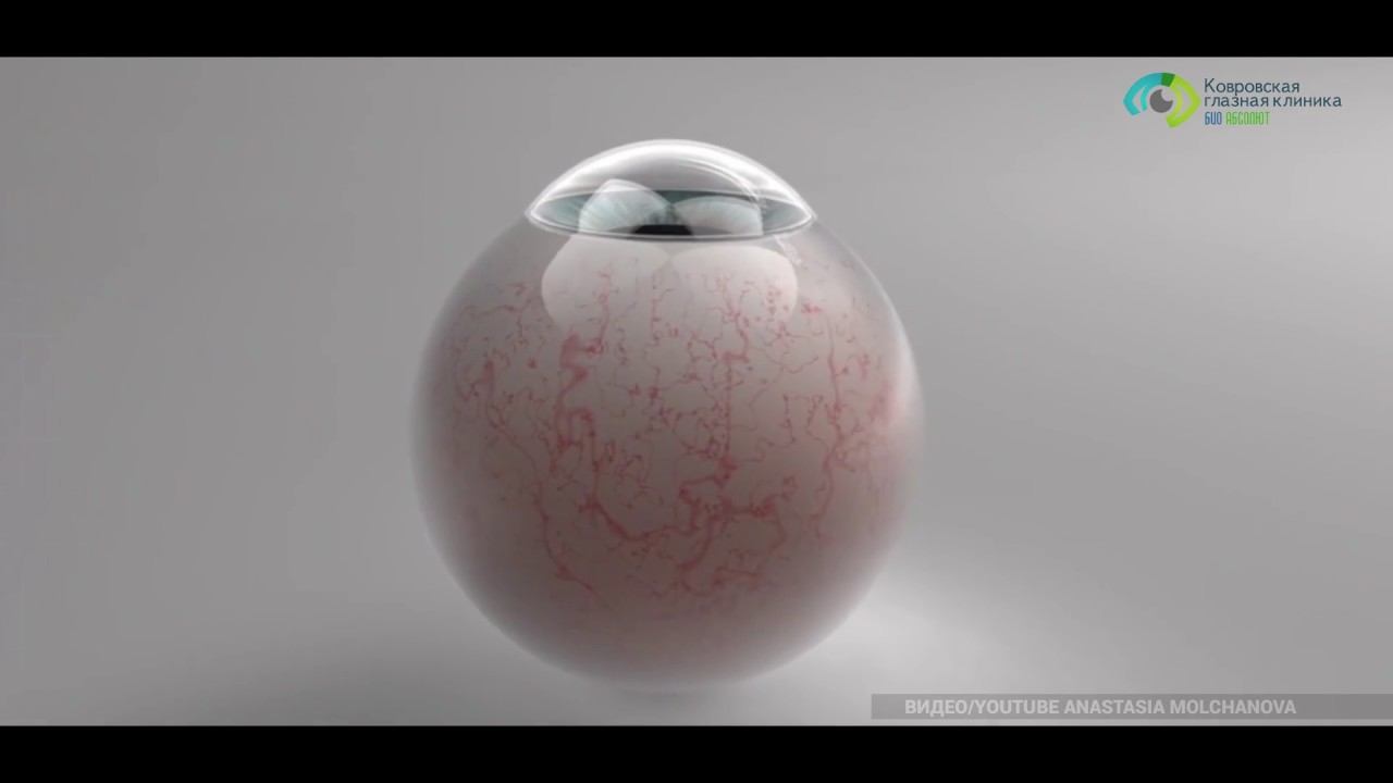 Что такое глаз человека? смотреть онлайн