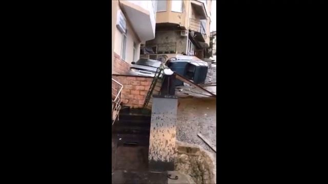 Залетел на балкон смотреть онлайн