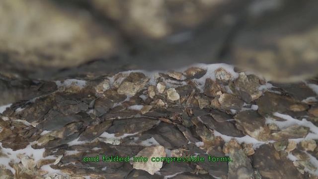 Khorovod (Хоровод). A Short Film by The New Normal Researchers смотреть онлайн