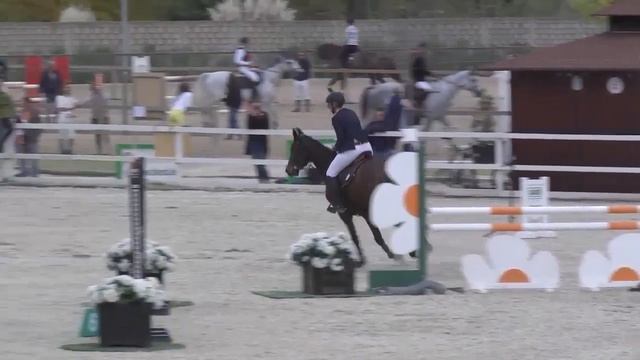 SCARLETT - Maria Wiik - Bronze.1.1.15m - Valencia (8.11.2014) смотреть онлайн