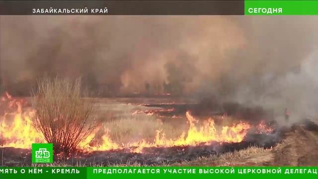 НТВ # Сегодня_НТВ # Сегодня смотреть онлайн