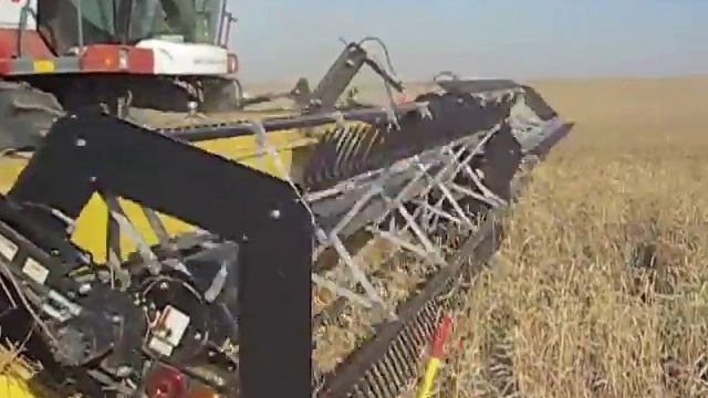 ТОО Алтынсарино жатка Honey Bee GB42, 13 метров смотреть онлайн