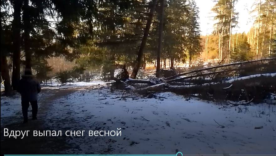 ВДРУГ ВЫПАЛ СНЕГ ВЕСНОЙ. ХОЖУ и ВЗДРАГИВАЮ. смотреть онлайн