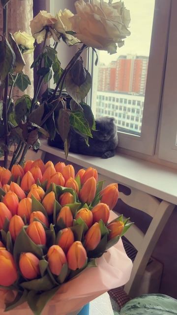 🔴 ЖИЗНЬ…ЕЩЕ🔴 смотреть онлайн