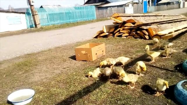 Мои любимые серёжки смотреть онлайн