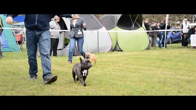 🎥 Adam Lami - Serbia, Backa Topola 2014 смотреть онлайн