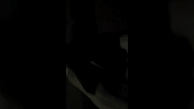 Очень странная птица. смотреть онлайн