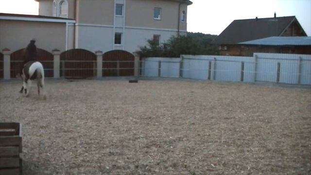 Cinderella рысь 9 07 14