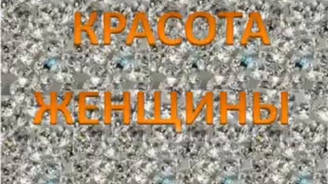 8 March LITE SGE 2017