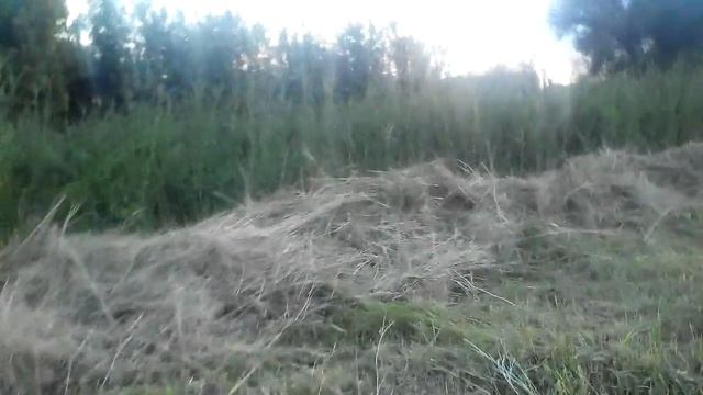 ШОК!!! ПОДПАЛИЛ 1 ТОННУ СУХОГО СЕНА!!! смотреть онлайн