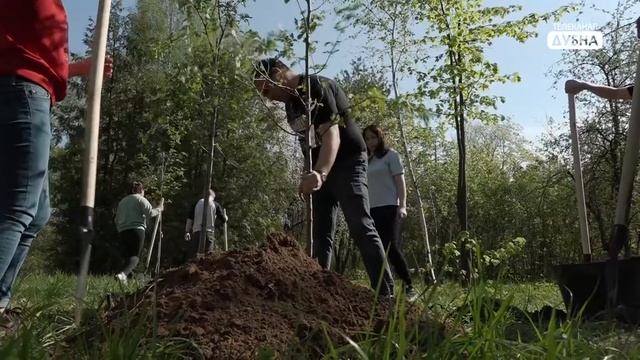 «Лес Победы» смотреть онлайн