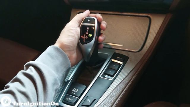 BMW F10 528i N20B20 Startup Problem (Timing Chain Issue?)