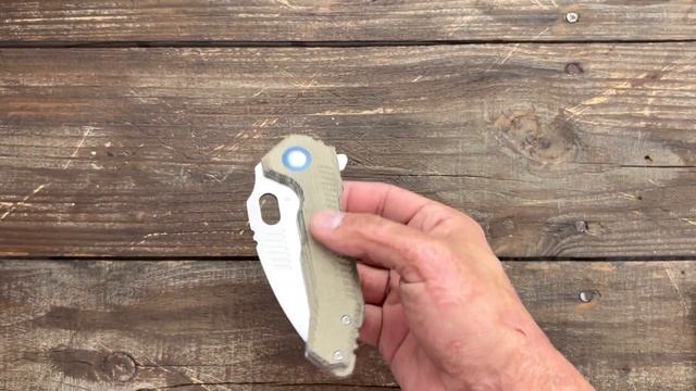 Kizer Knives Mini Paragon - Get The Lowdown on This Beast смотреть онлайн