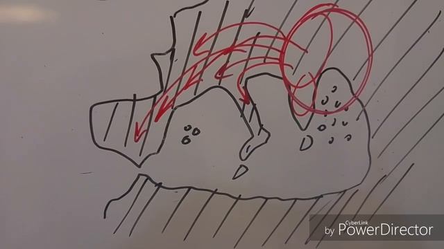 Lección 6. Aprende íbero Fácil En Un Minuto. Las Conclusiones.