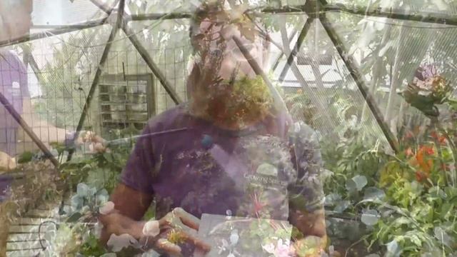 Beneficial Insects with Susan смотреть онлайн