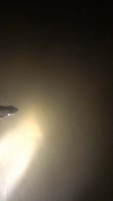 трофейный амур в технозавале. подводная охота. spearfishing смотреть онлайн