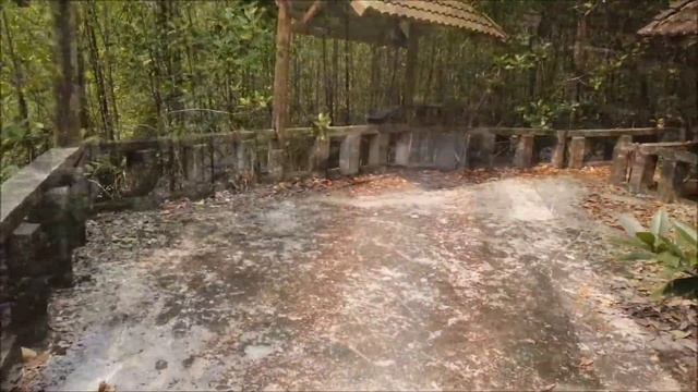 Salak Kok Mangrove walk (The Concrete Trail) / Ko Chang смотреть онлайн