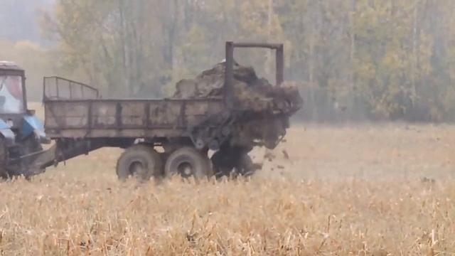 Разбрасывание навоза. Осень 2020 смотреть онлайн