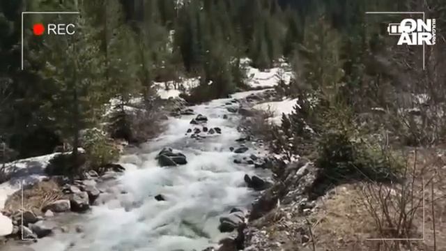 Да обичаш България повече от родината си: Холандец посещава възрастни от опустели села смотреть онлайн