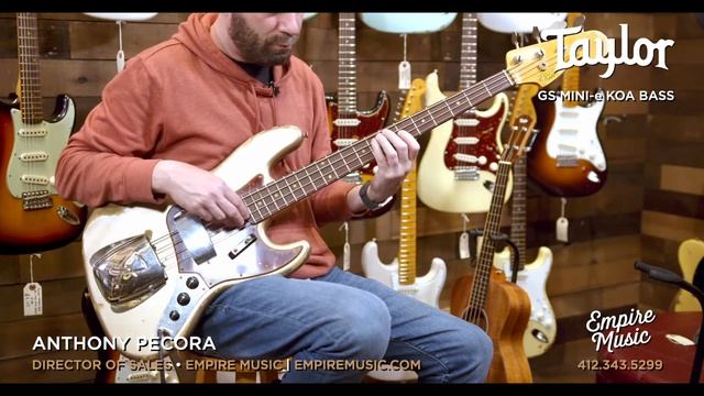 SECRET WEAPON BASS?!?! - Taylor GS Mini-e Bass - EMPIRE MUSIC
