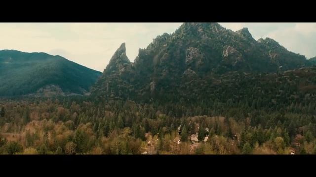 AMC Thursday Ticket - LIVE (DUMBO, BEACH BUM) | AMC Theatres (3/28/2019) смотреть онлайн