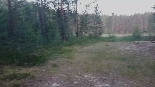 Могилицы - озеро Холодное (02.07.2024 - 03.07.2024) смотреть онлайн