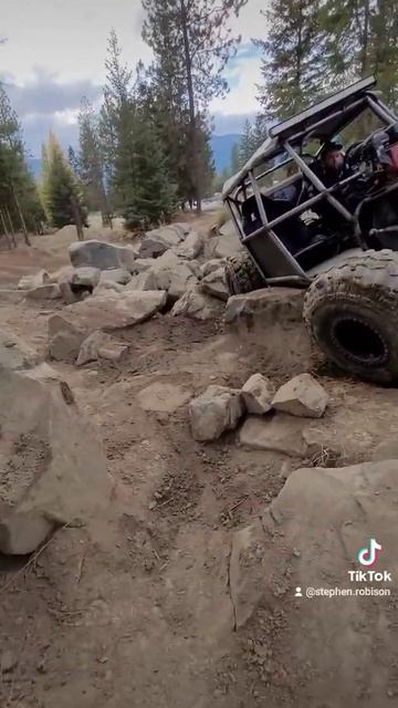 6.5 hp buggy! kid sizes! 4 point harnesses and full roll cage. смотреть онлайн