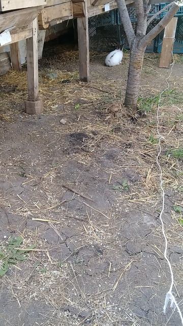 Как поймать беглеца.