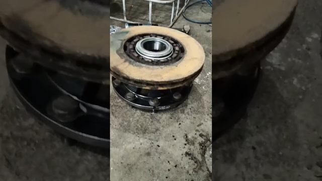 Дачный Оазис