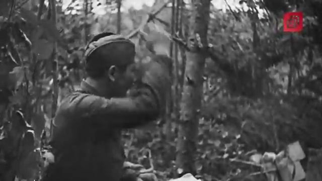 «Поколение Победы: современные голоса». Внеконкурсные работы. Тайлакова Таисия. «Мой герой».