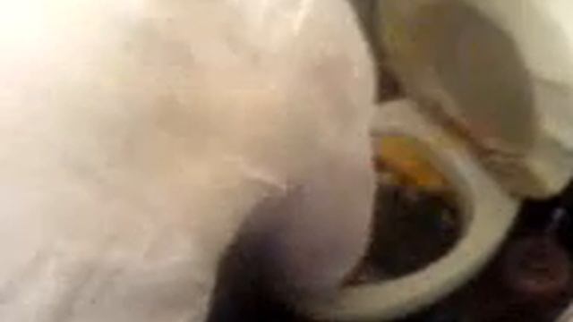 Салат в толчке.3gp смотреть онлайн