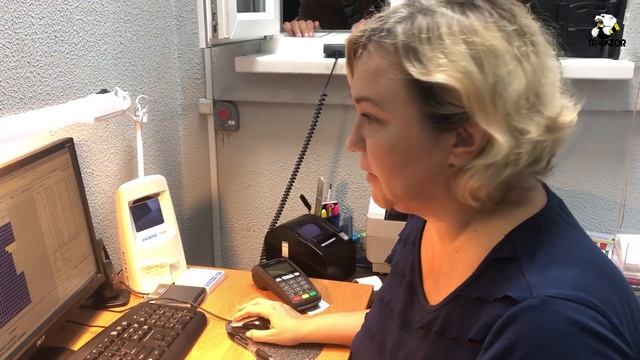 Кубок Губернатора - 2019. Старт продажи билетов смотреть онлайн