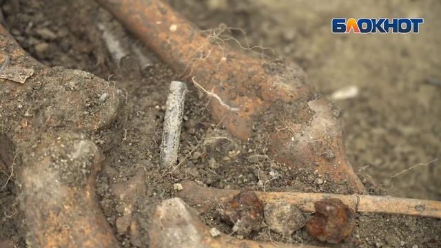 Анна из Новороссийска и подумать не могла, какой секрет таит ее земельный участок смотреть онлайн