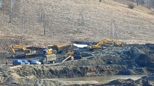 Золотодобыча в Солонешенском районе смотреть онлайн