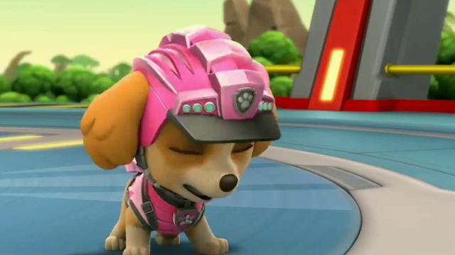 ❤️Роки и Скай❤️🌷(Симпа)🌸💕