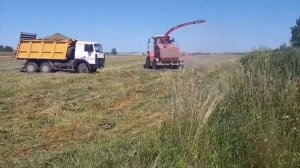 Заготовка сенажа 2021 в Беларуси