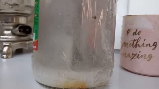 ДЕЛАЮ ПРОЗРАЧНУЮ БАНКУ КОЛЛЫ