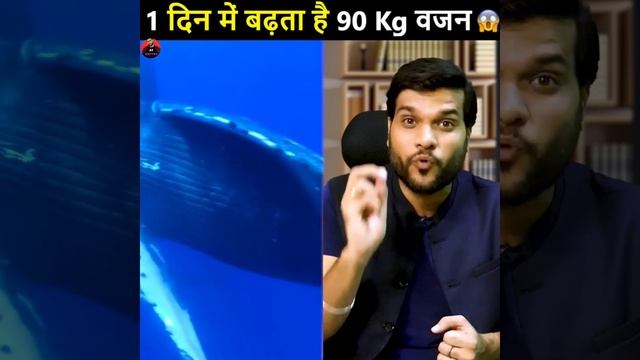 1 दिन में बढ़ता है 90 किलो वजन😱| A2sir| A2motivation| #shorts#ytshorts смотреть онлайн