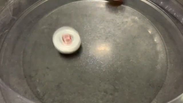 BEYBLADE METAL FIGHT ZERO G NINJA SALAMANDER VS DARK KNIGHT DRAGOON смотреть онлайн